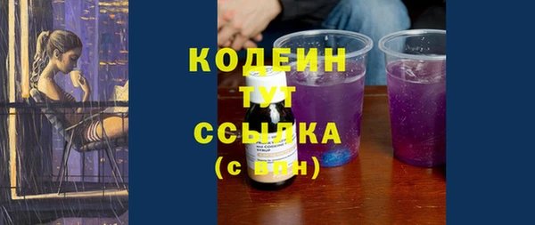 индика Кирс