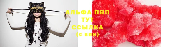 apvp Гусь-Хрустальный
