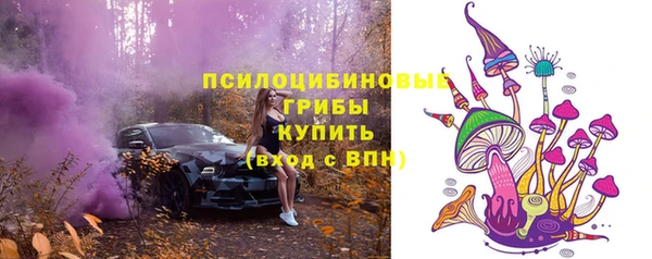 индика Кирс