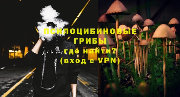 apvp Гусь-Хрустальный