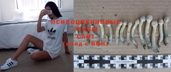 apvp Гусь-Хрустальный